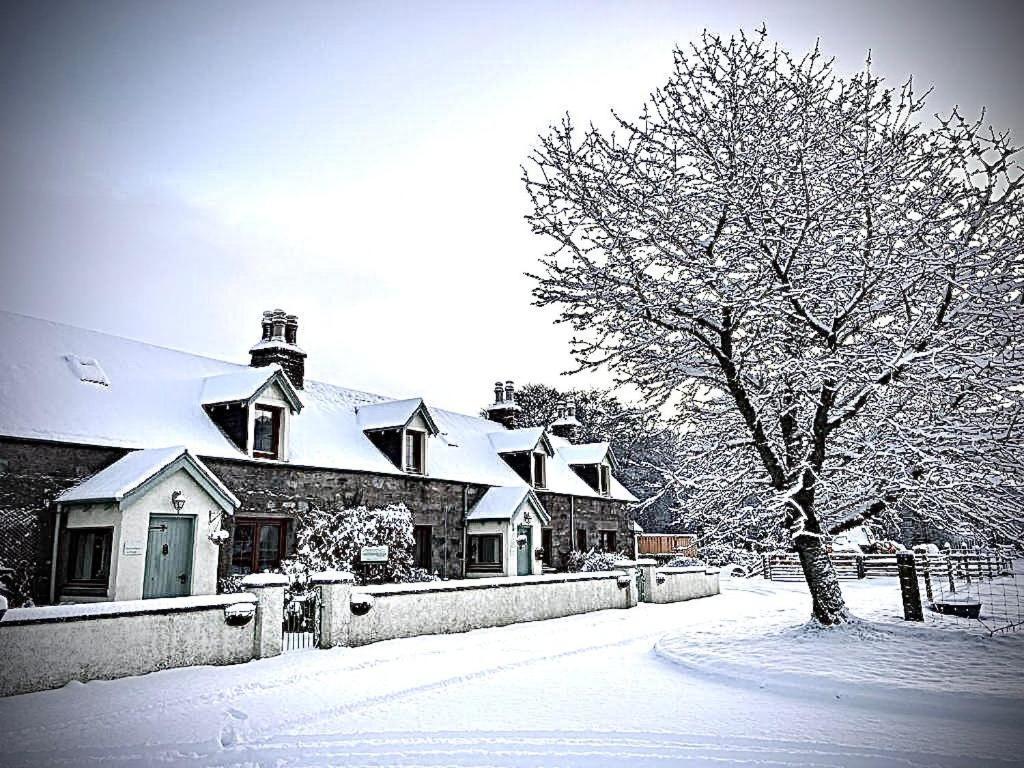Rosemount Bothy - Highland Cottage Garve Zewnętrze zdjęcie